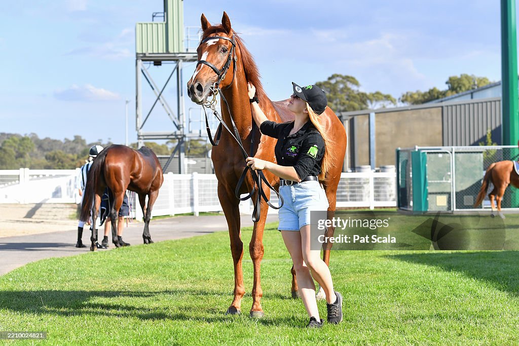 Mc Security Maiden Plate