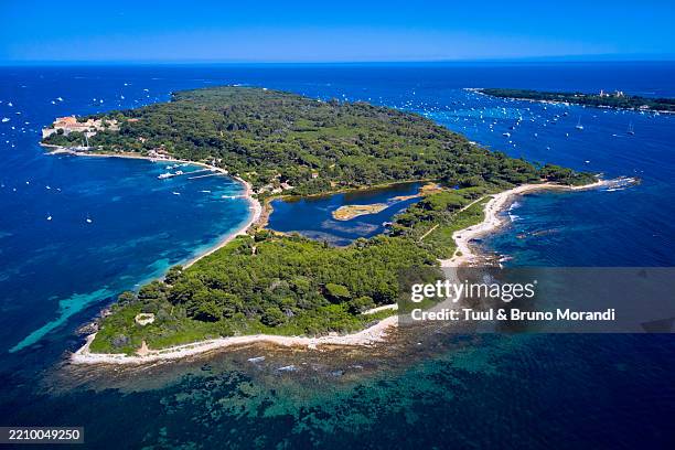 france-alpes-maritimes-cannes-