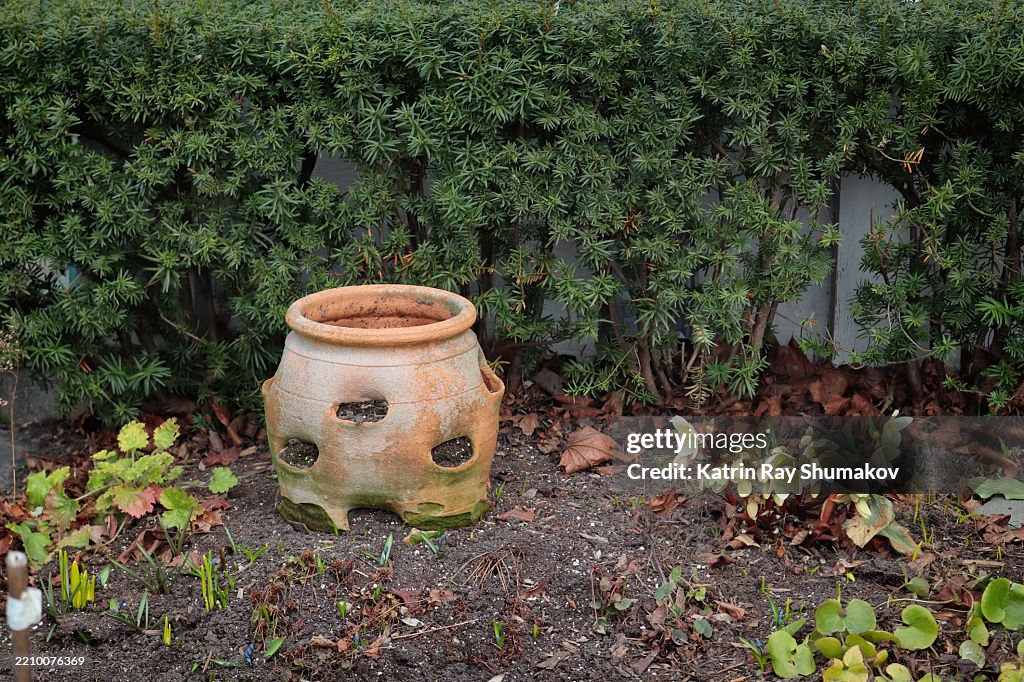 Wakey-Wakey Spring Garden!