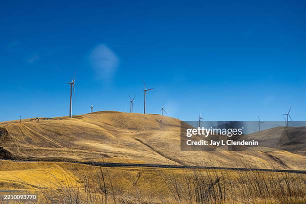 Wind turbines standing 430 feet tall are seen along the Diablo Range hills on August 19, 2024 in Altamont Pass, California.