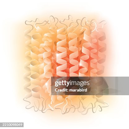 Warm Abstract Cellular Protein Structure Warm Abstract Cellular Protein Structure