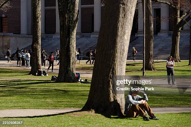 People sit on Harvard Yard at Harvard University on April 17, 2025 in Cambridge, Massachusetts. The Trump administration announced that it would...