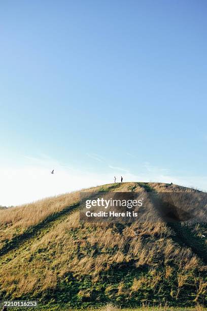 winter sunset walk at northala fields - artificial park stock pictures, royalty-free photos & images