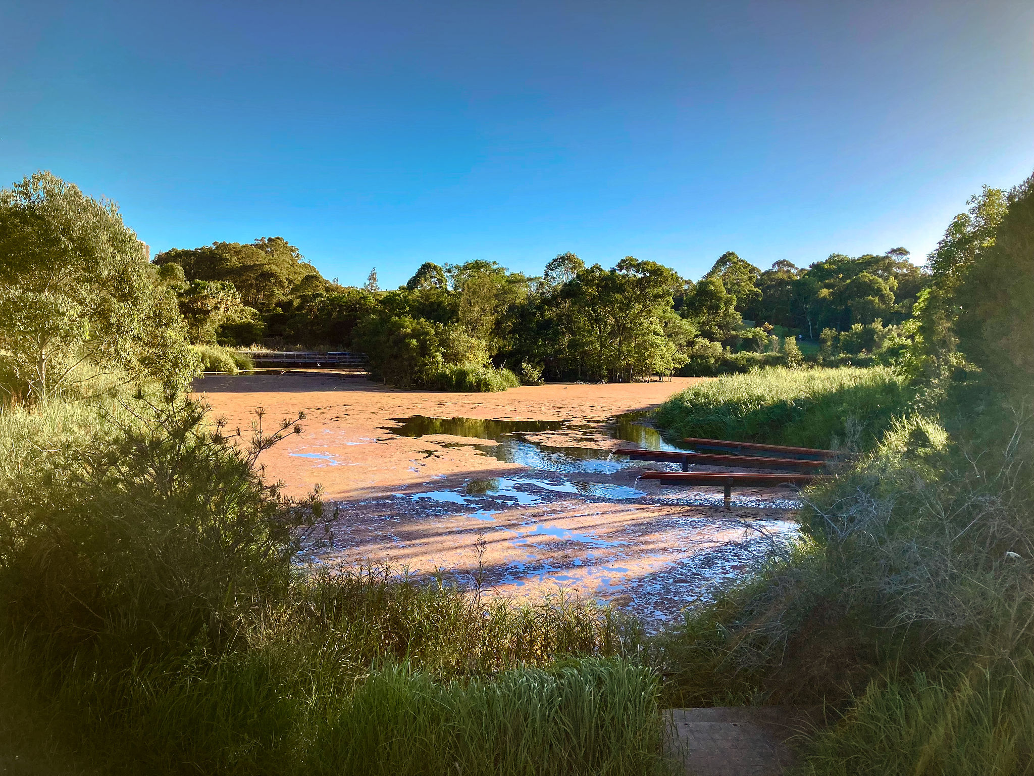 autumn sydney park