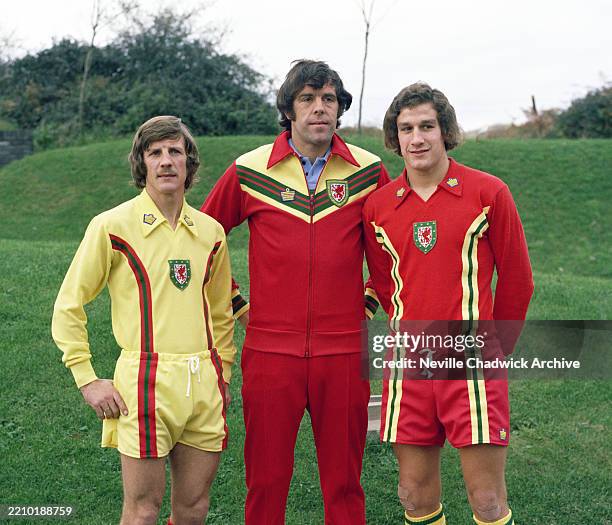 Gil Rees Footballer 37 Gil Reece Stock Photos, High-Res Pictures, and Images - Getty Images