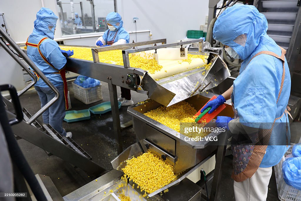 Processed Kernel Picture Employees work on the intelligent processing line of sweet corn... News ...