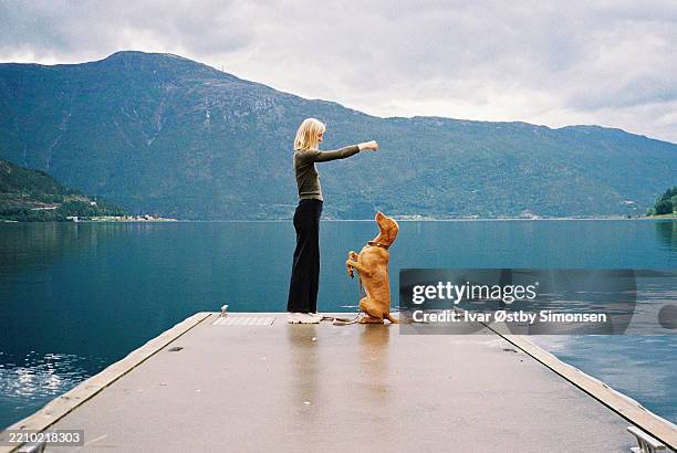 woman training dog on dock at sognefjord, norway - hygge stockfoto's en -beelden