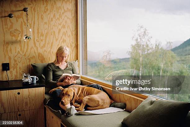 donna che legge con il cane vicino alla finestra della cabina - lentezza foto e immagini stock
