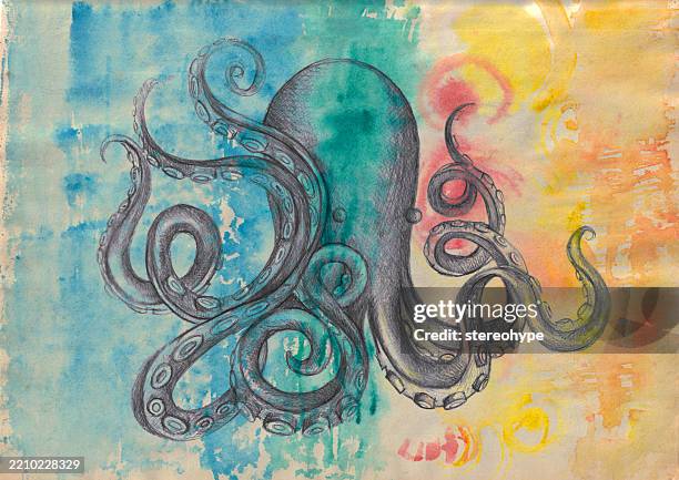 octopus beach - veined octopus stock illustrations