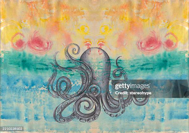 beach octopus - veined octopus stock illustrations