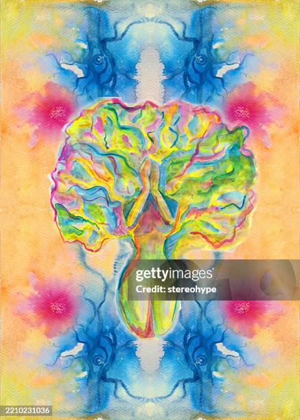 plasma tree lady - rainforest canopy stock illustrations