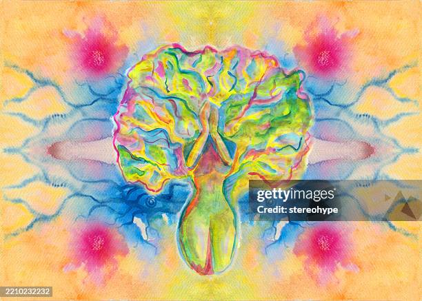 tree lady quantum - rainforest canopy stock illustrations