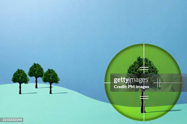 targeted tree - cible militaire photos et images de collection