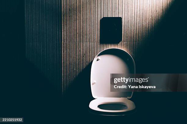 modern bathroom toilet under atmospheric light in a dimmed setting - baños públicos fotografías e imágenes de stock