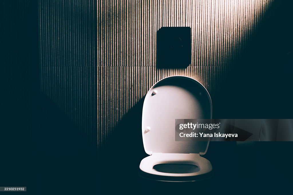 Modern bathroom toilet under atmospheric light in a dimmed setting