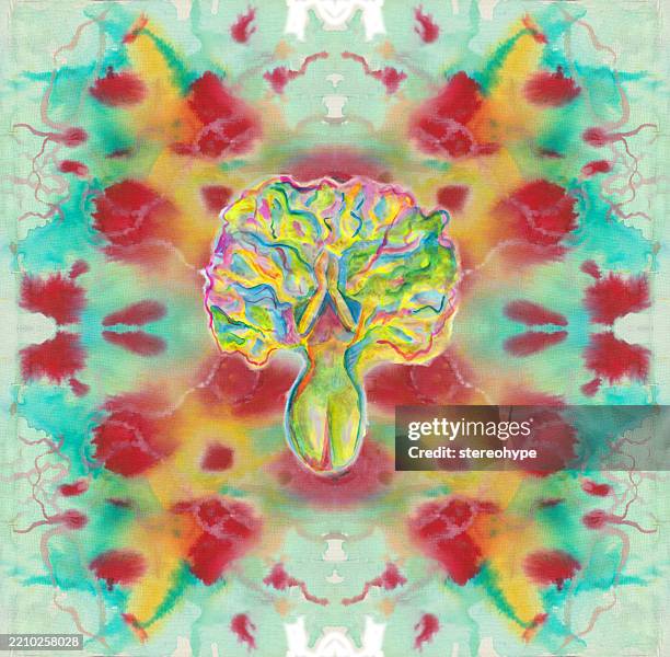 red poppy tree lady crying - rainforest canopy stock illustrations