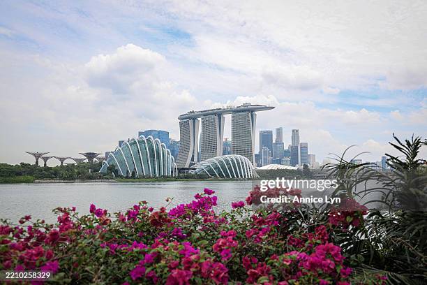 General view of Singapore’s Marina Bay skyline, featuring Gardens by the Bay Supertree Grove, Flower Domem Marina Bay Sands, and the Central Business...