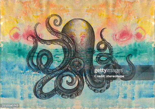 küsten-oktopus - krake cephalopode stock-grafiken, -clipart, -cartoons und -symbole