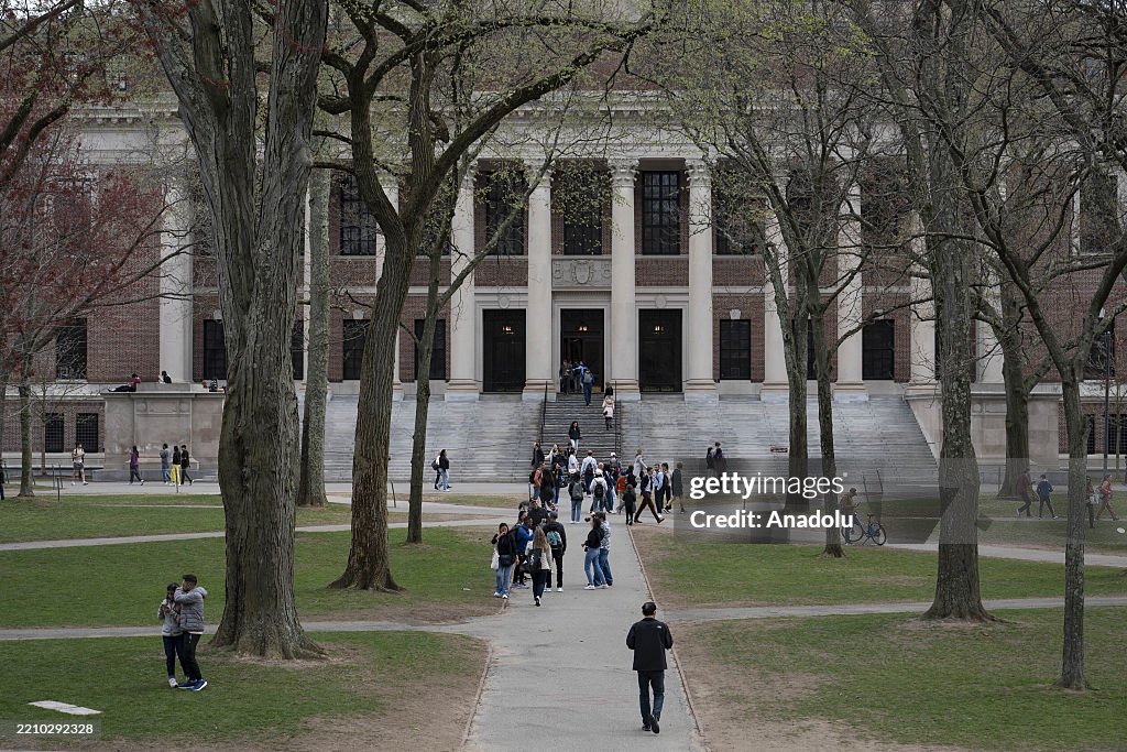 Harvard University