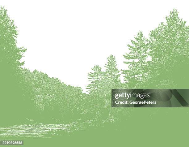illustrazioni stock, clip art, cartoni animati e icone di tendenza di pini e fiume - midwest