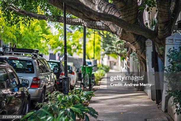 footpath with old trees, leafy suburb sydney - marciapiede foto e immagini stock
