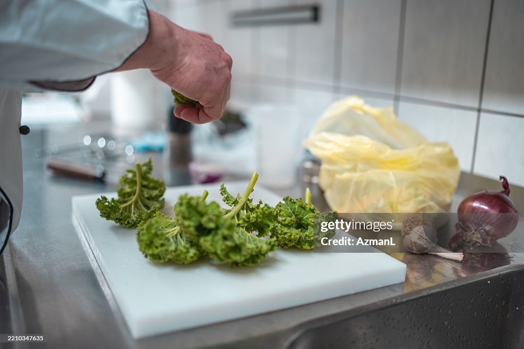 Mid Adult Caucasian Chef Preparing Fresh Lettuce in a Modern Kitchen