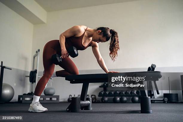 young woman exercising with dumbbells on a bench at the gym - dumbbell stock pictures, royalty-free photos & images