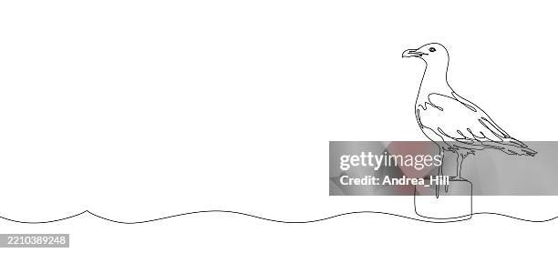 seagull on a post by the sea, continuous line drawing style banner - pier piling stock illustrations