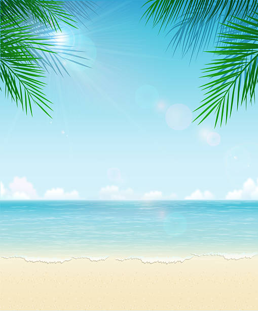 tropical beach with palm leaves and clear sky - beach stock illustrations