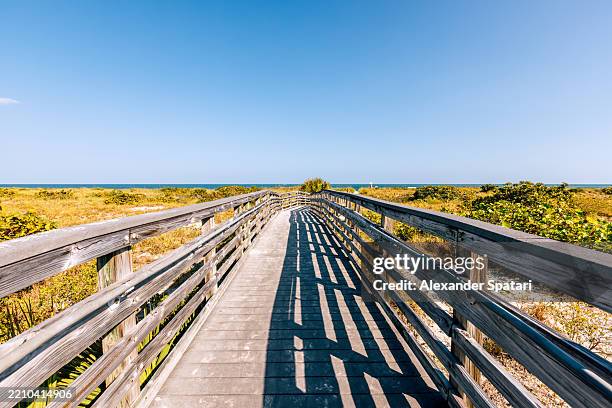 boardwalk leading to the beach at bill baggs cape florida state park, florida, usa - florida state park stock pictures, royalty-free photos & images