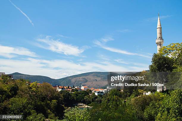 trees and buildings against sky - home tree maintenance stock pictures, royalty-free photos & images