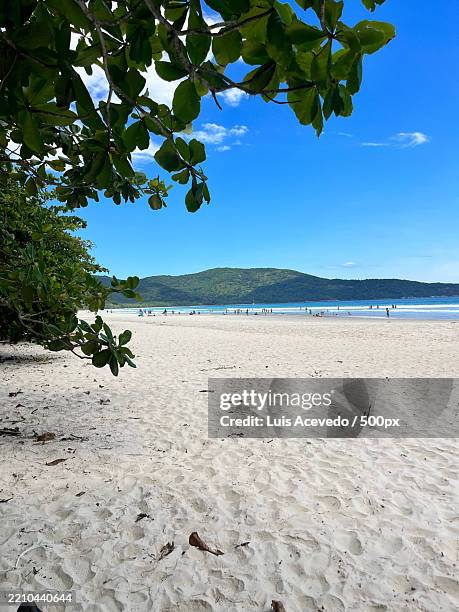 scenic view of beach against sky,state of rio de janeiro,brazil - acevedo stock pictures, royalty-free photos & images
