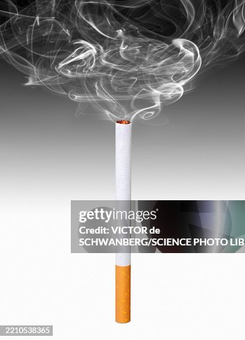 Lit cigarette Lit cigarette