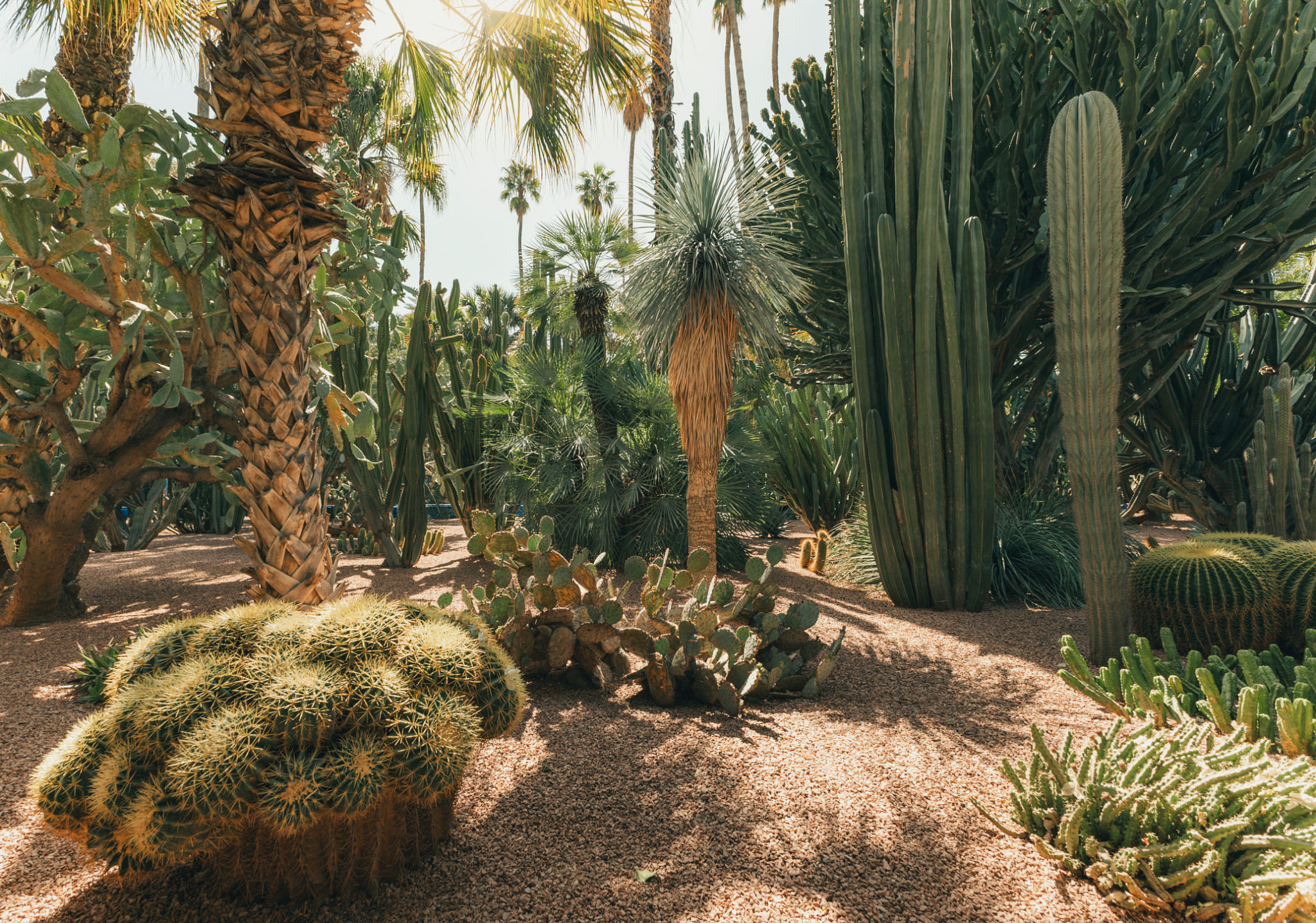 majorelle garden