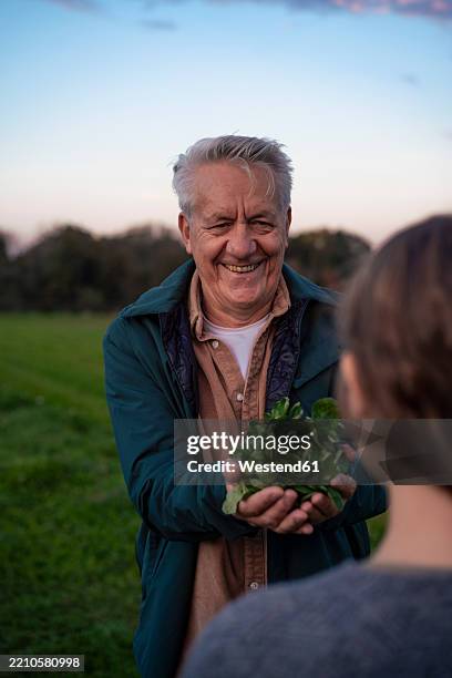 grandfather smiling and holding greenery while interacting with granddaughter outdoors - environmentalist stock pictures, royalty-free photos & images