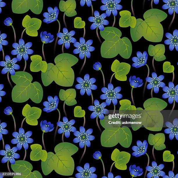 pattern with blue flowers - anemone hepatica stock illustrations