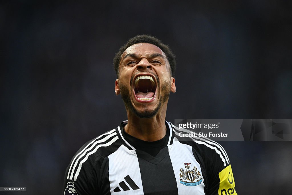 Newcastle United FC v Crystal Palace FC - Premier League