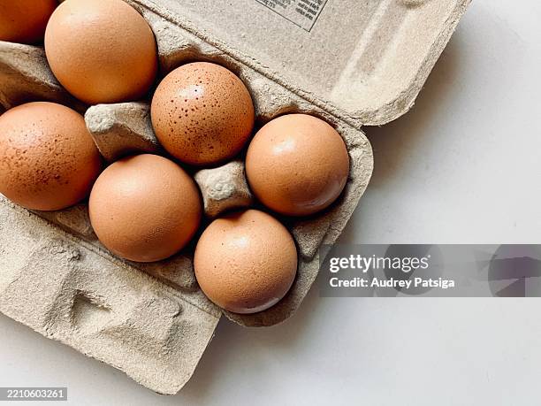 carton of fresh eggs on white counter in morning light - eieren stockfoto's en -beelden