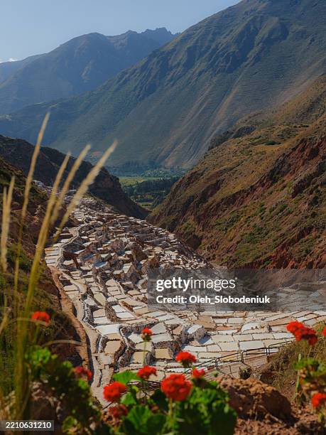 minas de sal de salinas de maras en la sierra del perú - mina de sal fotografías e imágenes de stock