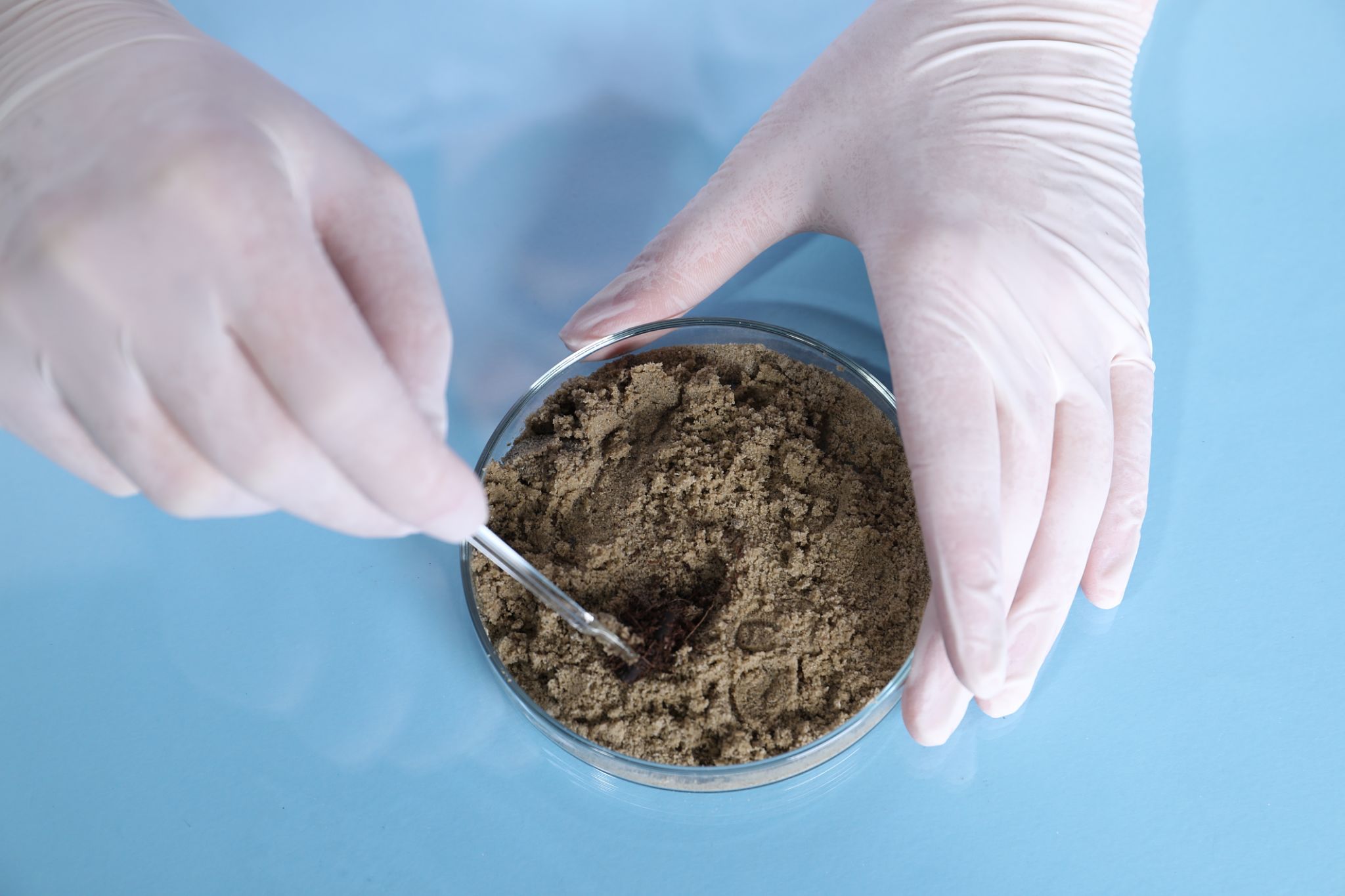 soil samples