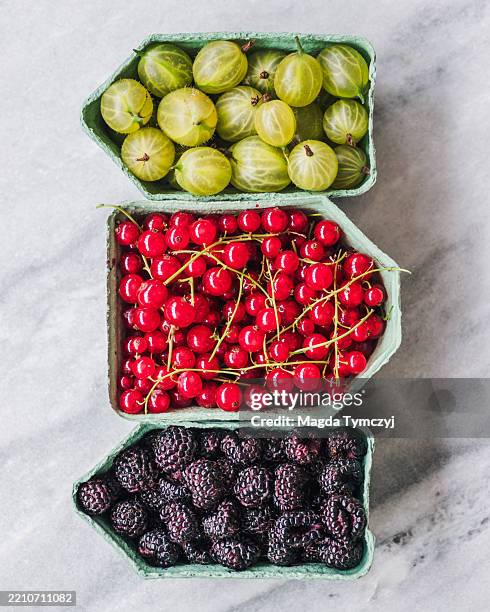 stachelbeeren, rote johannisbeeren und schwarze himbeeren vom bauernmarkt - stachelbeere stock-fotos und bilder