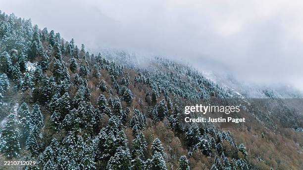 drone/aerial view of a mountainous forest covered in snow on a cold winter's day - aquitaine stock pictures, royalty-free photos & images
