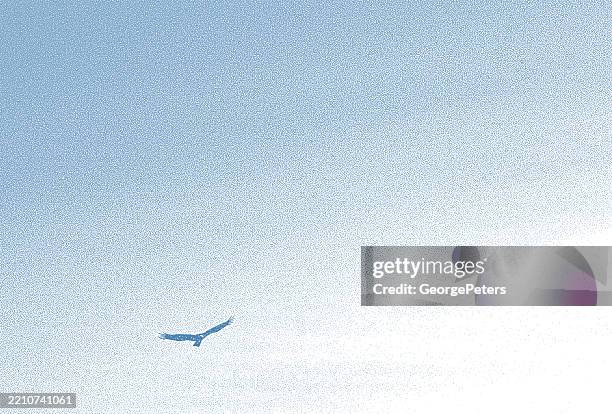 eagle soaring high in an empty sky - cloud migration stock illustrations