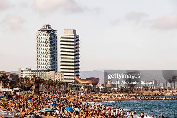 crowded barceloneta beach in summer, barcelona, spain - barcelona spain stock pictures, royalty-free photos & images
