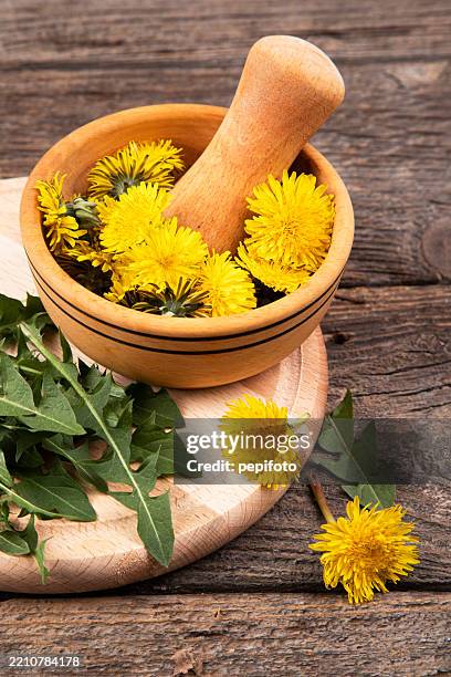 healthy dandelion - mortar and pestle stock pictures, royalty-free photos & images