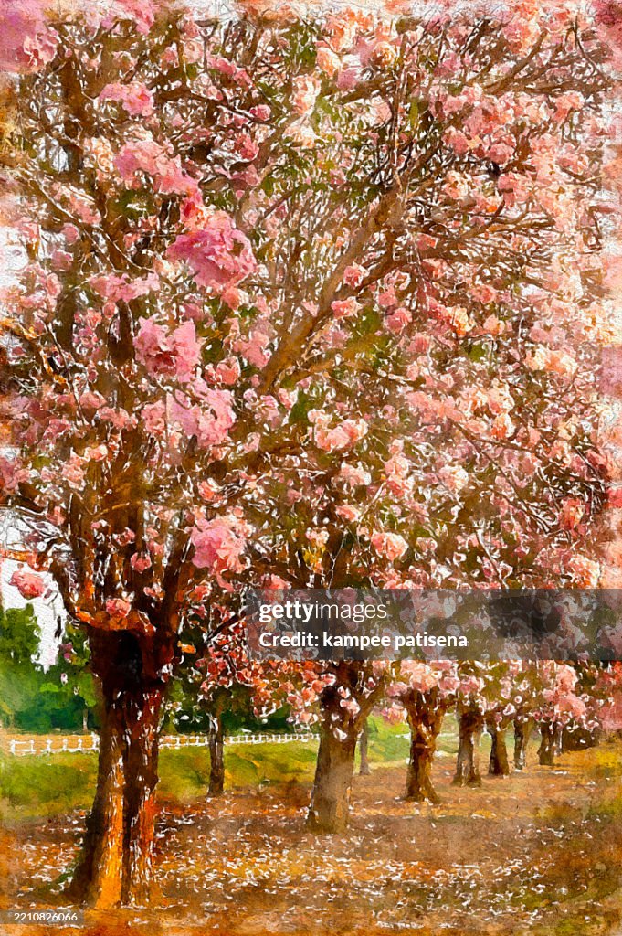 Watercolor Blossoms: Pink Trees in Bloom
