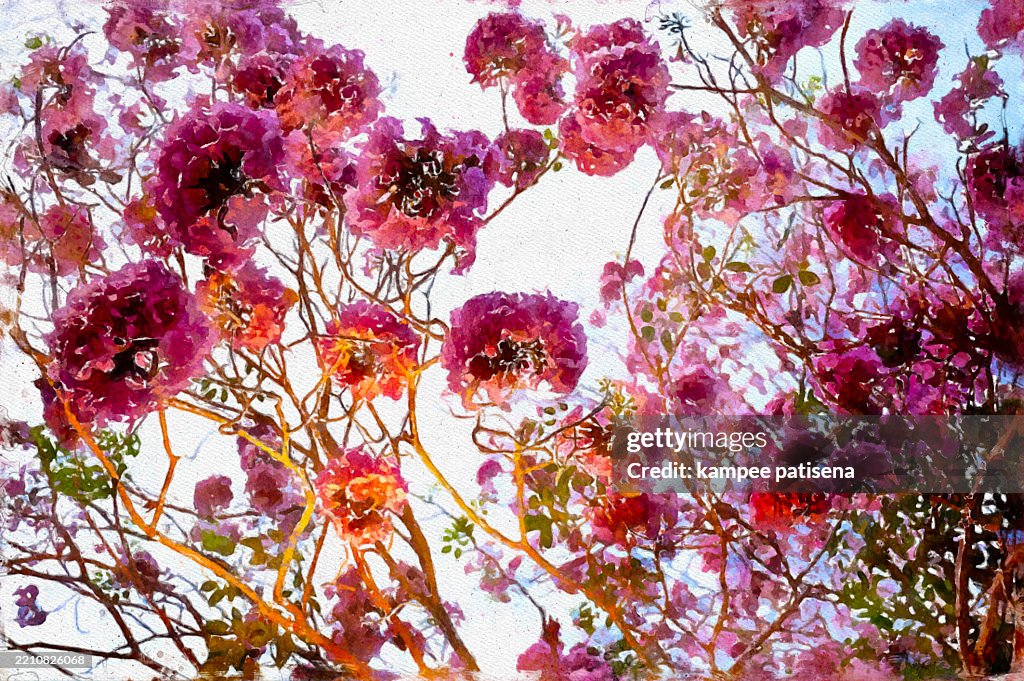 Watercolor Blossoms: Pink Trees in Bloom