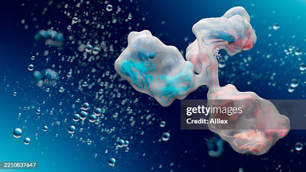 antibody molecule with transparent structural view - anticorpo foto e immagini stock