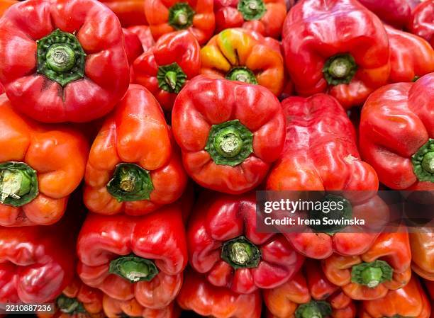 red peppers - red bell pepper stock pictures, royalty-free photos & images