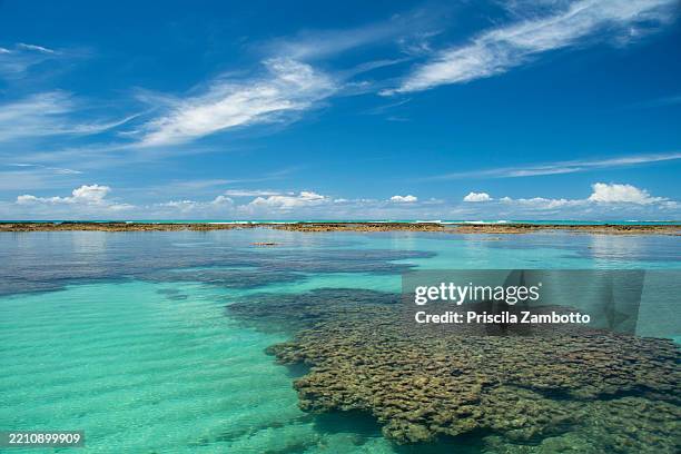 natural pools or 'gales' off the coast of maragogi. alagoas. brazil - maceio stockfoto's en -beelden